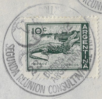 Argentine 1962. Oblitération Seconde Réunion Consultative Du Traité Antarctique - Traité Sur L'Antarctique