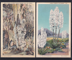 USA 4 Color Postal Cards Unused New Mexico 16103 - Andere & Zonder Classificatie