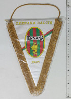 69690 Calcio - GAGLIARDETTO Ternana Calcio 1925 - Bekleidung, Souvenirs Und Sonstige