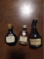 Lot De 10  ** Mignonettes Armagnac  ** SAINT VIVANT  DUCASTING  SAINT VIVANT  HENNESSY 2 OTARD  HINE MARTELL COURVOISIER - Mignonnettes