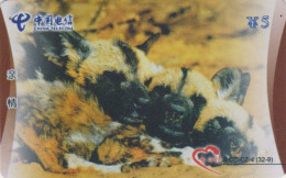 Télécarte CHINE - ANIMAL - CHIEN CHOW CHOW - DOG - CHINA Phonecard - HUND - 1257 - Dogs