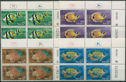 Israel 1962 Rotes Meer Tiere Fische 266/69 Plattenblock Postfrisch (C61537) - Ongebruikt (zonder Tabs)