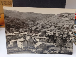 Cartolina  Pianadetto Fa Parte Del Comune Di Monchio Delle Corti, In Provincia Di Parma,panorama 1970 - Parma