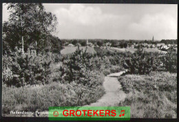 HELLENDOORN Panorama Vanaf De Hellendoornseberg (kaart 1968) 1970  - Hellendoorn