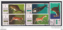 RUSSIA:  1974  FAUNA  -  S. CPL. 5  VAL. US. ( N° 4039  DIFETTOSO, NON  CONTEGGIATO )  -  YV/TELL. 4038/42 - Oblitérés