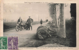 FRANCE - Les Grandes Inondations Du Midi (1930) - Animé -Vauban à Lafrançaise - Bétail Noyé - Carte Postale Ancienne - Charolles