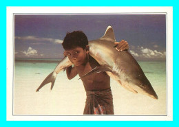 A771 / 477 MALDIVES ISLANDS Requin à Pointe Blanche - Maldiven