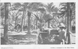 CPA / IRAQ / IRAK / MESOPOTAMIA / ARTILLERY ENCAMPED IN THE DATE PALMS - Iraq