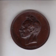 1878 - Médaille à ' Viro Doctissimo B.C. Dumortier - De Re Botanica Optime Merito  - Charles Wiener - Professionnels / De Société