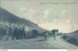 Ae71 Cartolina Panorama Di Ravascletto E Val Calda Provincia Di Udine - Udine