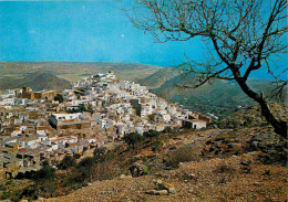 Espagne - Espana - Andalucia - Mojacar - Vista Panoramica  - Vue Panoramique - CPM - Voir Scans Recto-Verso - Almería