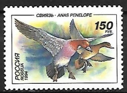 Russia - MNH ** 1994 -  Eurasian Wigeon  -  Mareca Penelope - Entenvögel