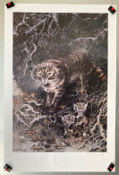 Affiche Bd Signée Hausman - Les Chats Sauvages - 40 X 60 Cm - Serigrafia & Litografia