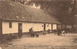 BELGIQUE - Brasschaet Polygone - Hoef Du Mick - Vue Sur La Ferme Du Mick - Animé - Carte Postale Ancienne - Brasschaat