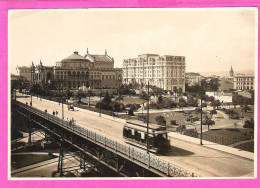 Bresil Brasil Grande Photo Type Carte Postale De Sao Paulo Mairie Et Viaduc Municipal E Viaducto Tramway - São Paulo