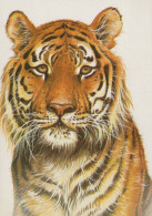 TIGRE Animales Vintage Tarjeta Postal CPSM #PBS066.ES - Tigres