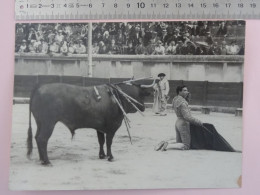 Carnicerito De Mexico ârenes De Nîmes Années 1940 Photo George (Arles) Tauromachie Toro Toreador Repro (v.description) - Nîmes