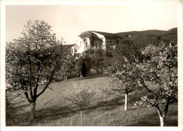 Dornach - Goetheanum - Dornach