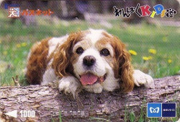 Carte Prépayée JAPON / Série KIDS 2 - ANIMAL - Chien CAVALIER KING CHARLES : 51/51 - DOG JAPAN Metro Card - HUND - 1265 - Perros