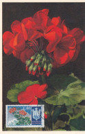 Carte Maximum San Marin Marino Fleur Flower - FDC