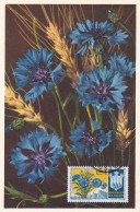 Carte Maximum San Marin Marino Fleur Flower - FDC