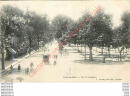 47.  LAVARDAC .  Les Promenades . - Lavardac