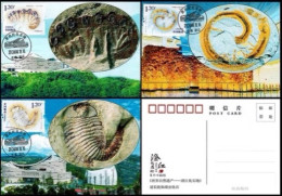 China Maximum Card 2024-4 World Natural Heritage Site - Chengjiang Fossil Site - Cartes-maximum