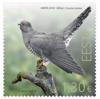 Estonia Estland Estonie 2024 Bird Of The Year Common Cuckoo Omniva Stamp MNH - Koekoeken En Toerako's
