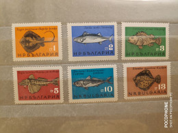 1965	Bulgaria	Fishes (F90) - Ungebraucht