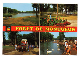 Forêt De Montgeon - Forêt De Montgeon