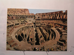 Roma (Rome) - Il Colosseo - Interno - Colosseum