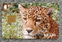 Chip Phonecard, Jaguar BZ$30 Facevalue,used - Belize