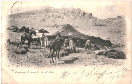 CPA Carte Postale Algérie Campement De Nomade  1902  VM79979 - Männer