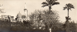 (24/04/24) EGYPTE-CPSM ALEXANDRIE - Alexandria