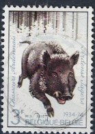 Belgien Belgium Belgique - Wildschwein (Sus Scrofa) (MiNr: 1785) 1974 - Gest Used Obl - Used Stamps