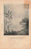 NOUVELLE CALEDONIE - Bananier Canaque En Nouvelle Calédonie - Carte Postale Ancienne - New Caledonia