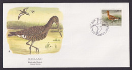 Island Iceland Fauna Vögel Uferschnäpfe Schöner Künstler Brief - Lettres & Documents