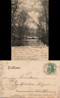 Niederschönhausen-Berlin Stadtteilansicht Partie Im Schönhauser Park 1906 - Pankow