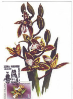 MAX 55 - 58 ORCHID, Romania - Maximum Card - 2004 - Cartes-maximum (CM)