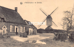 Heidemolen Te Schilde - Schilde