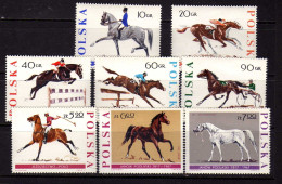 Pologne - Faune - Chevaux - Hippisme - Neufs** - MNH - Ongebruikt