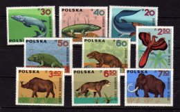 Pologne - Faune -Animaux Prehistoriques - Neufs** - MNH - Ongebruikt