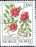 NORVEGIA, NORWAY, FLORA, FRUTTI DI BOSCO, 1995, USATI Mi:NO 1174y, Scott:NO 1086, Yt:NO 1129 - Used Stamps