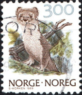 NORVEGIA, NORWAY, FAUNA, MAMMIFERI, 1989, USATI Mi:NO 1010, Scott:NO 880, Yt:NO 969 - Gebraucht