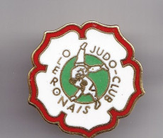 Pin's Judo Club Oléron En Charente Maritime Dpt 17  Réf 3817 - Judo