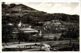 Weiz/Steiermark - Sommerfrische Puch Bei Weiz Mit Kulm - Weiz