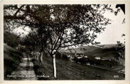 Steiermark - Sommerfrische Birkfeld - Birkfeld