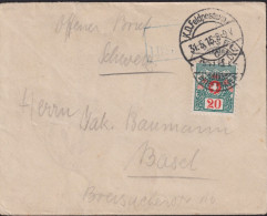 1910/15 Schweiz Kleinbrief 9.5x12.0 Cm, Nachporto 1910, Zum:CH 34, Mi:CH 34, Schweizer Wappen Und Alpenrosen, - Postage Due