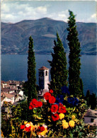 25-4-2024 (3 Z 3) Italy - Brissago (flowers) - Alberi