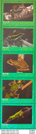 C 4005 Brazil Stamp Fauna Anuros, Frog, Amphibio, 2021 - Unused Stamps